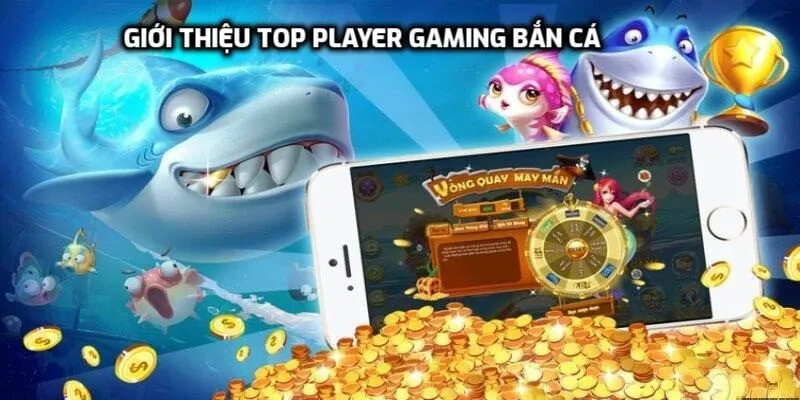 Tìm hiểu đôi chút về Top player Gaming