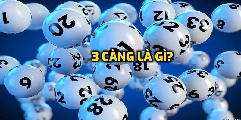 Tìm hiểu về 3 càng là gì?